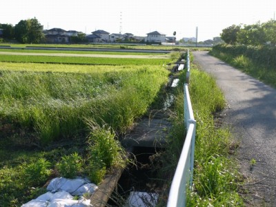 高須賀池公園の写真27