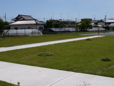菖蒲運動公園の写真6