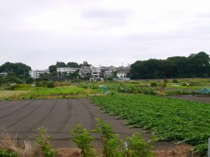 見晴公園（さいたま市）の写真10