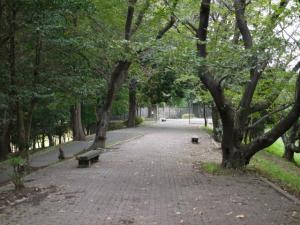 宇和田公園の写真17