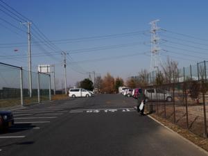 県営権現堂公園（一号公園）の写真