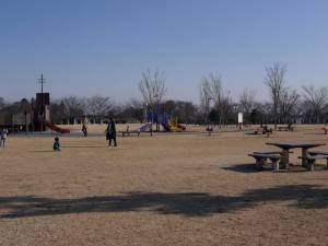 県営権現堂公園（一号公園）の写真3