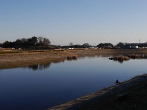 県営権現堂公園（一号公園）の写真23