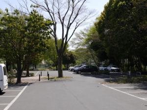 見沼氷川公園の写真