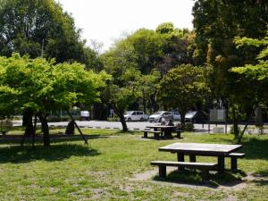 見沼氷川公園の写真4