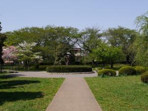 見沼氷川公園の写真5