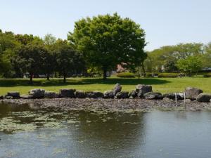 見沼氷川公園の写真9