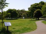 見沼氷川公園の写真のサムネイル写真15