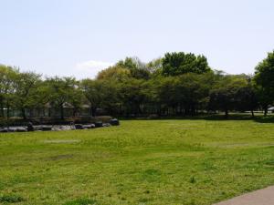 見沼氷川公園の写真16