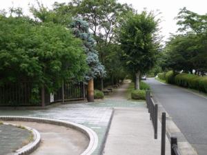 見沼緑道の写真2