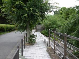 見沼緑道の写真3
