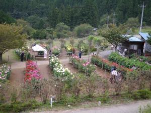 両神山麓 花の郷 ダリア園の写真1