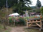 両神山麓 花の郷 ダリア園の写真のサムネイル写真41