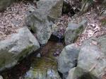 龍神社の写真のサムネイル写真5