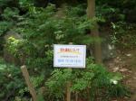 川口西公園の写真のサムネイル写真10