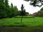 寺前公園（加須市）の写真のサムネイル写真6