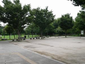 合併記念見沼公園の写真2