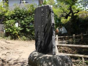 氷川女体神社の写真