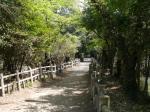 氷川女体神社の写真のサムネイル写真2