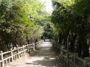 氷川女体神社の写真5