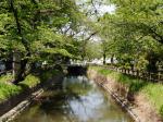 氷川女体神社の写真のサムネイル写真6