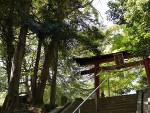 氷川女体神社の写真7