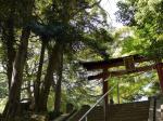氷川女体神社の写真のサムネイル写真7