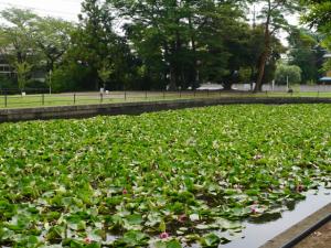 不動岡公園の写真9