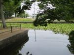 不動岡公園の写真のサムネイル写真13