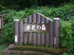 埼玉県 県民の森の写真のサムネイル写真3