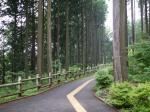 埼玉県 県民の森の写真のサムネイル写真4