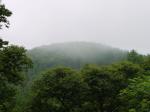 埼玉県 県民の森の写真のサムネイル写真11