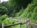 埼玉県 県民の森の写真のサムネイル写真12