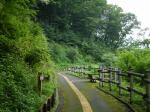 埼玉県 県民の森の写真のサムネイル写真13