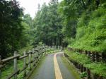 埼玉県 県民の森の写真のサムネイル写真15