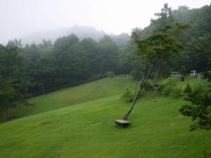 埼玉県 県民の森の写真27