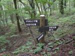 埼玉県 県民の森の写真のサムネイル写真38