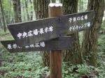 埼玉県 県民の森の写真のサムネイル写真39