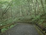 埼玉県 県民の森の写真のサムネイル写真46
