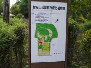 智光山公園 都市緑化植物園の写真3