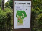 智光山公園 都市緑化植物園の写真のサムネイル写真3