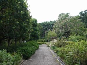 智光山公園 都市緑化植物園の写真5