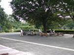 智光山公園 都市緑化植物園の写真のサムネイル写真8
