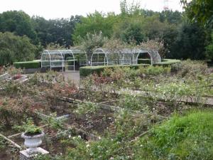 智光山公園 都市緑化植物園の写真13