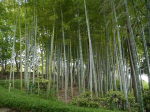 戸塚中台公園の写真5