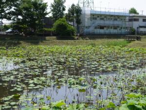 志賀堂沼公園の写真