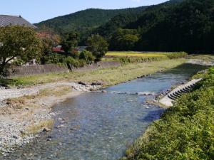 槻川の河原4（東秩父村立槻川小学校の前）の写真5