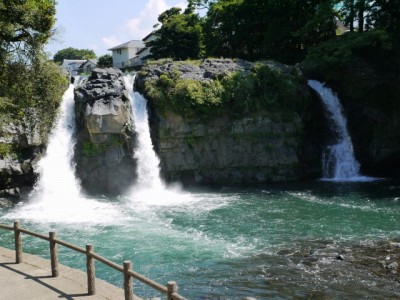 裾野中央公園の写真5