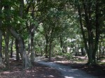 裾野中央公園の写真のサムネイル写真8