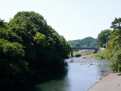 裾野中央公園の写真12